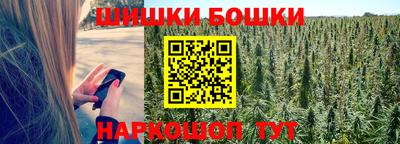дживик Лесосибирск