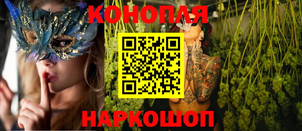 Бошки Шишки ГИДРОПОН Ессентуки